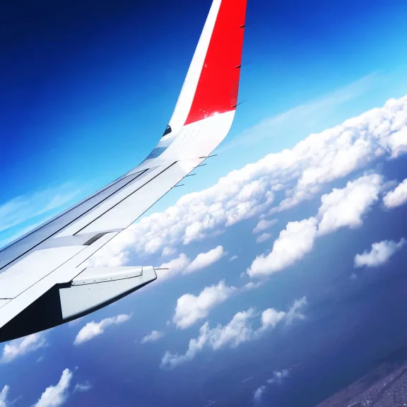 Vuelo Guadalajara